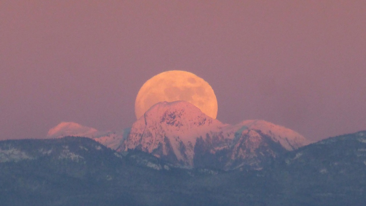 Photo of Outdoor in Comox