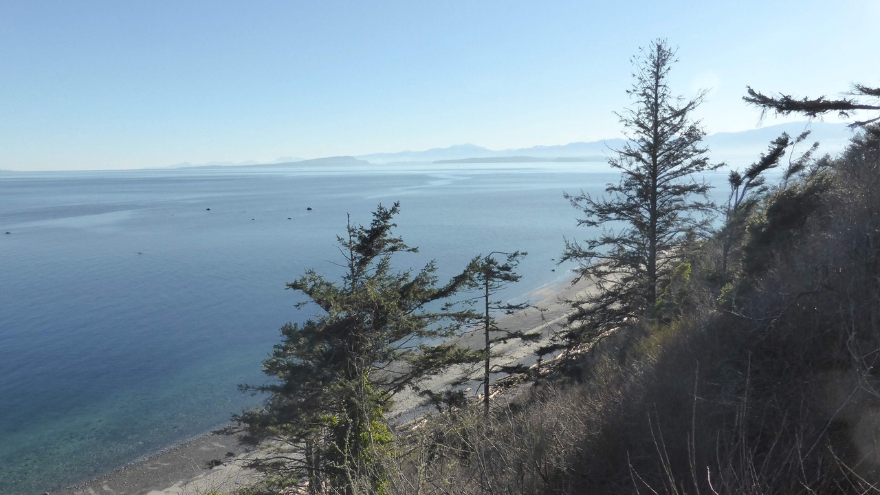 Photo of Outdoor in Comox