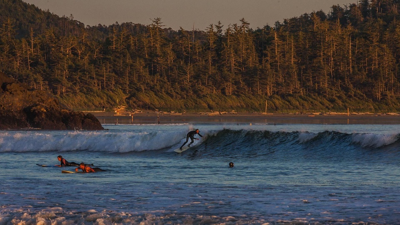 Photo of Others in Tofino