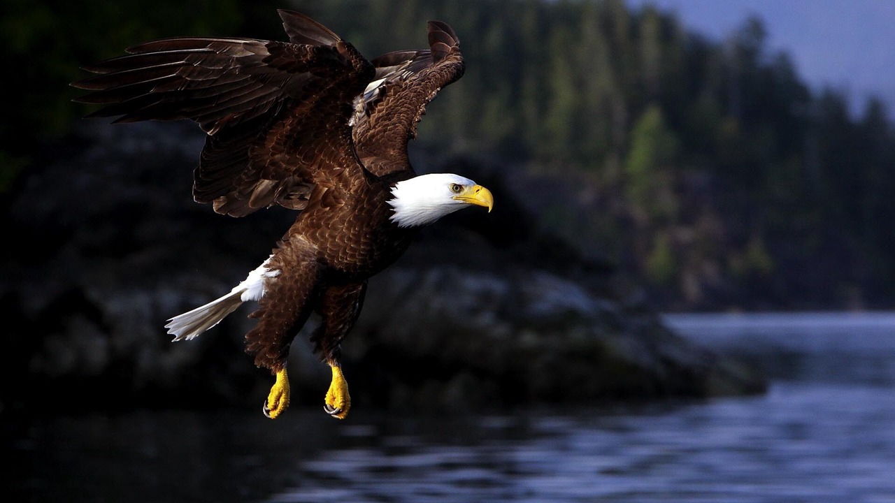 Photo of Others in Tofino