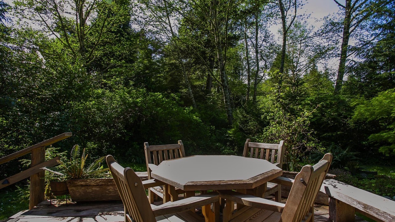 Photo of Outdoor in Tofino