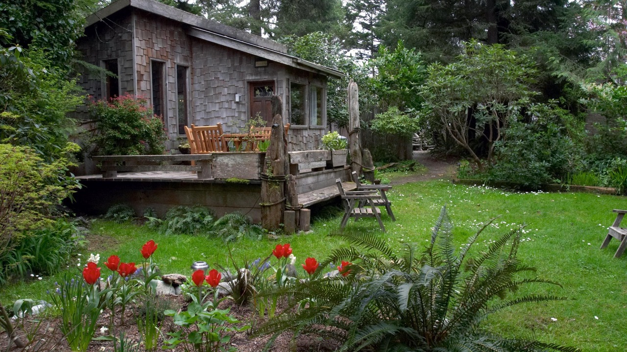 Photo of Outdoor in Tofino