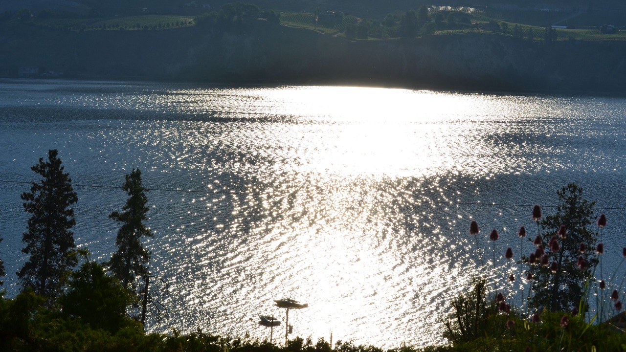 Photo of Others in Okanagan-Similkameen