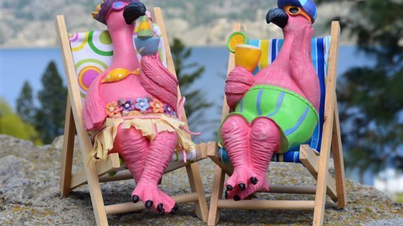 Photo of Others in Okanagan-Similkameen