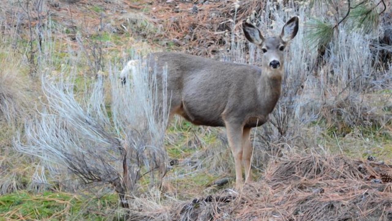 Photo of Outdoor in Okanagan-Similkameen