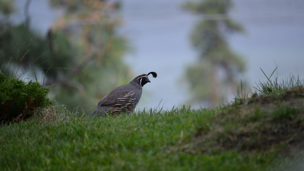 Photo of Outdoor in Okanagan-Similkameen