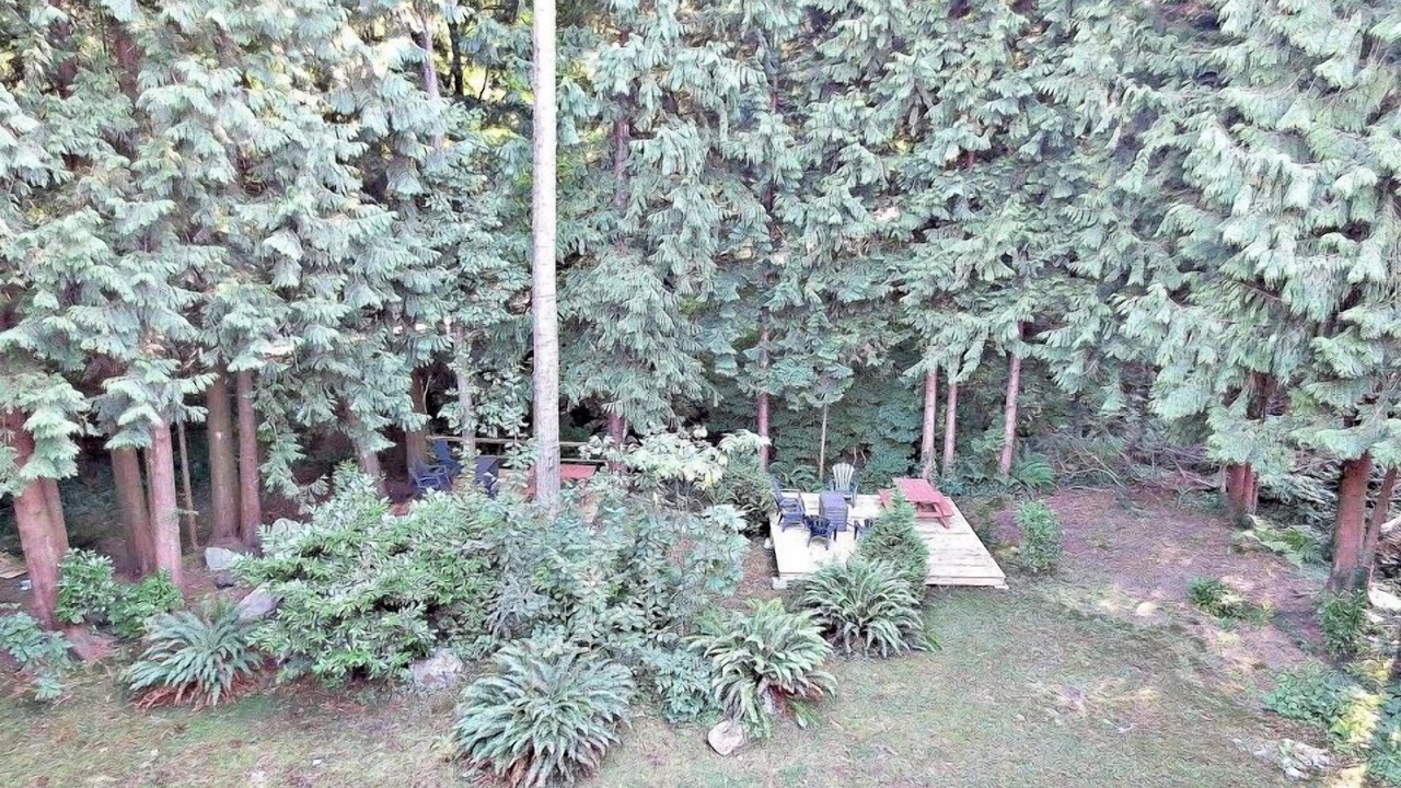 Photo of Outdoor in Vancouver