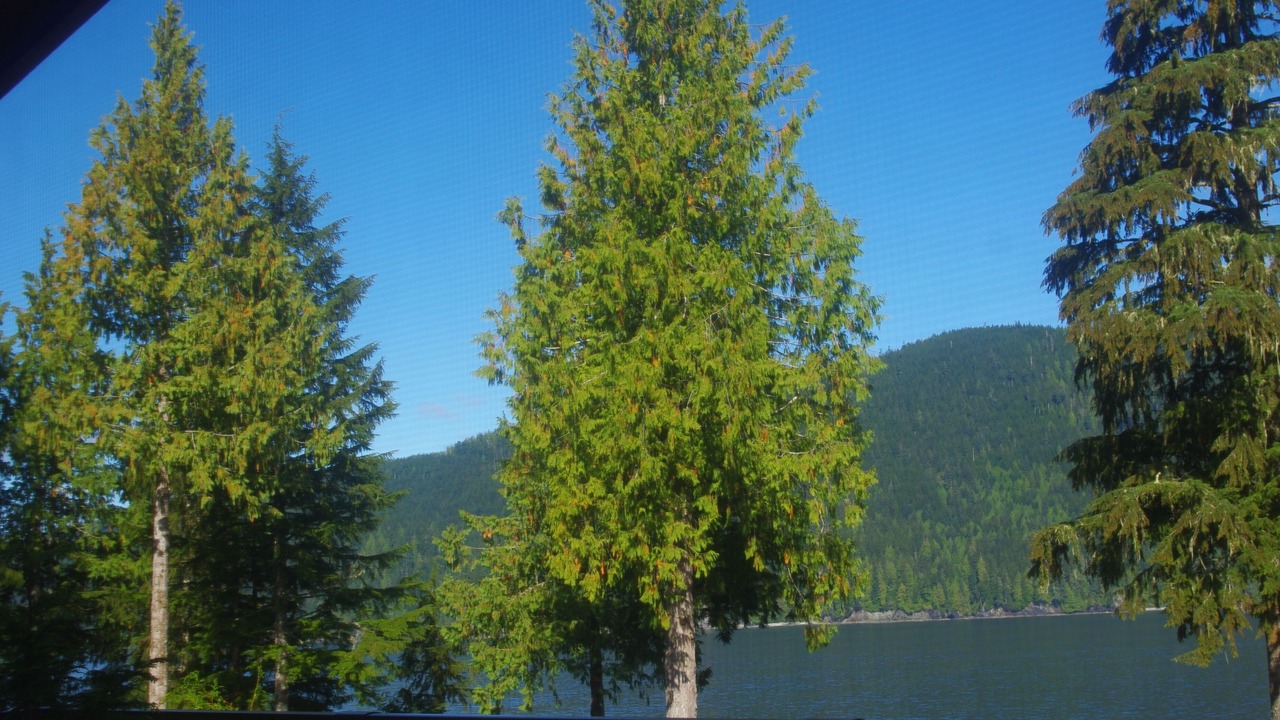 Photo of Patio Balcony in Port Renfrew
