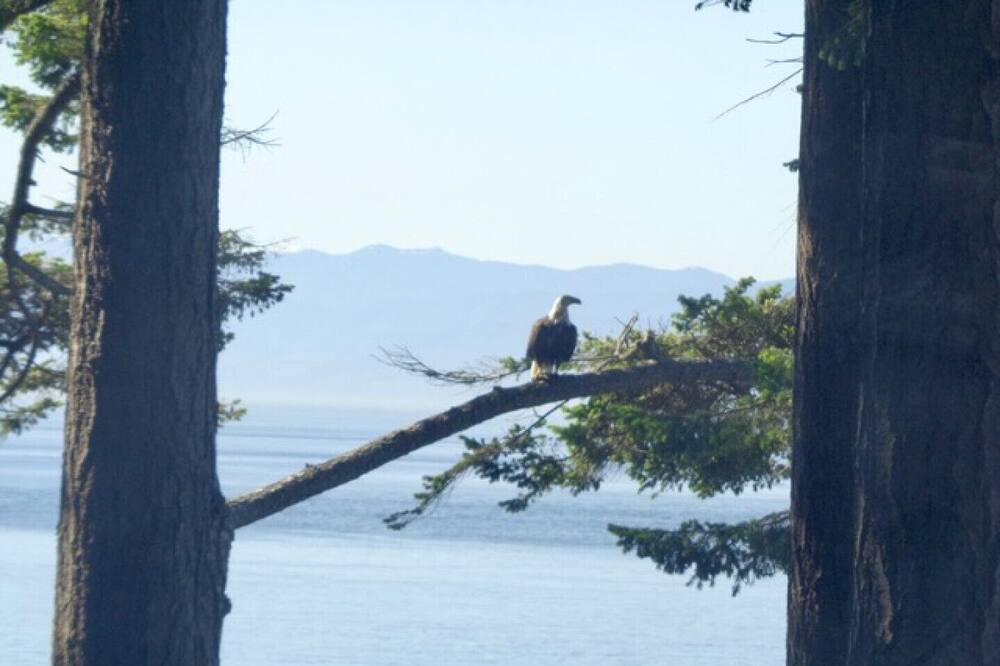 Photo of Others in Juan de Fuca Electoral Area