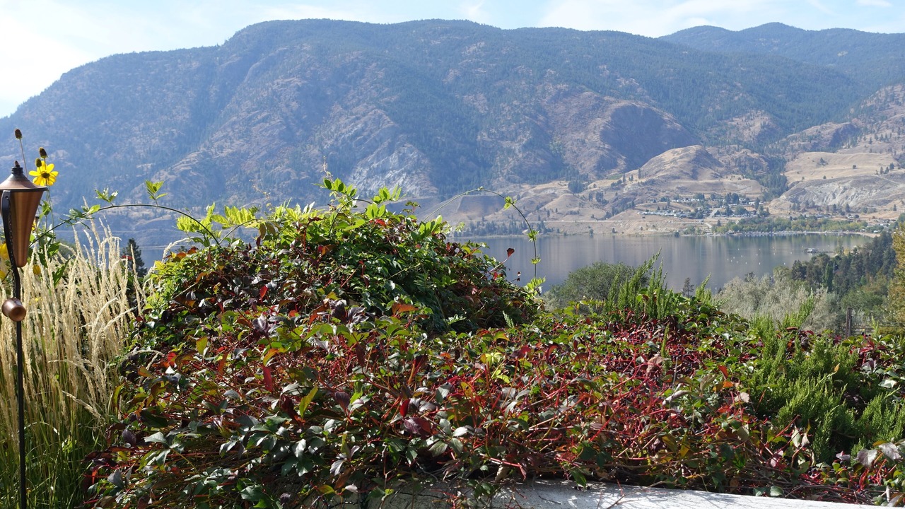 Photo of Outdoor in Okanagan-Similkameen