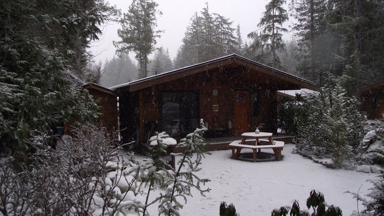 Photo of Outdoor in Port Renfrew
