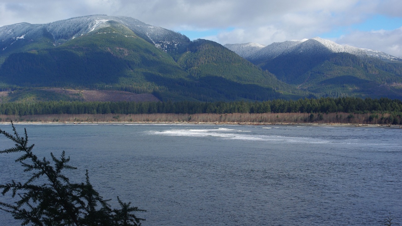 Photo of Others in Port Renfrew