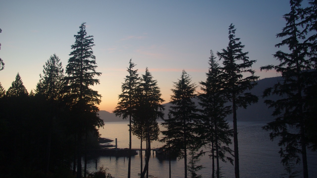 Photo of Others in Port Renfrew