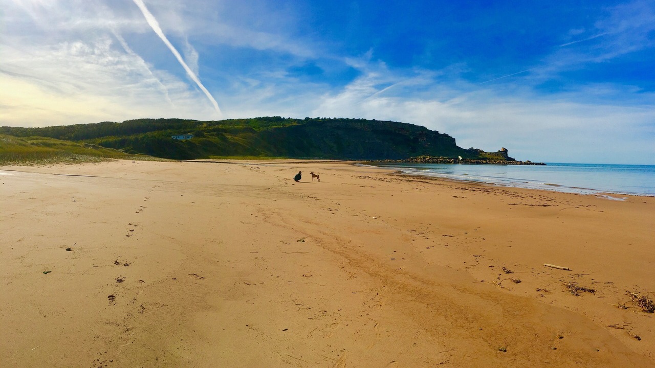 Photo of Others in Margaree Valley