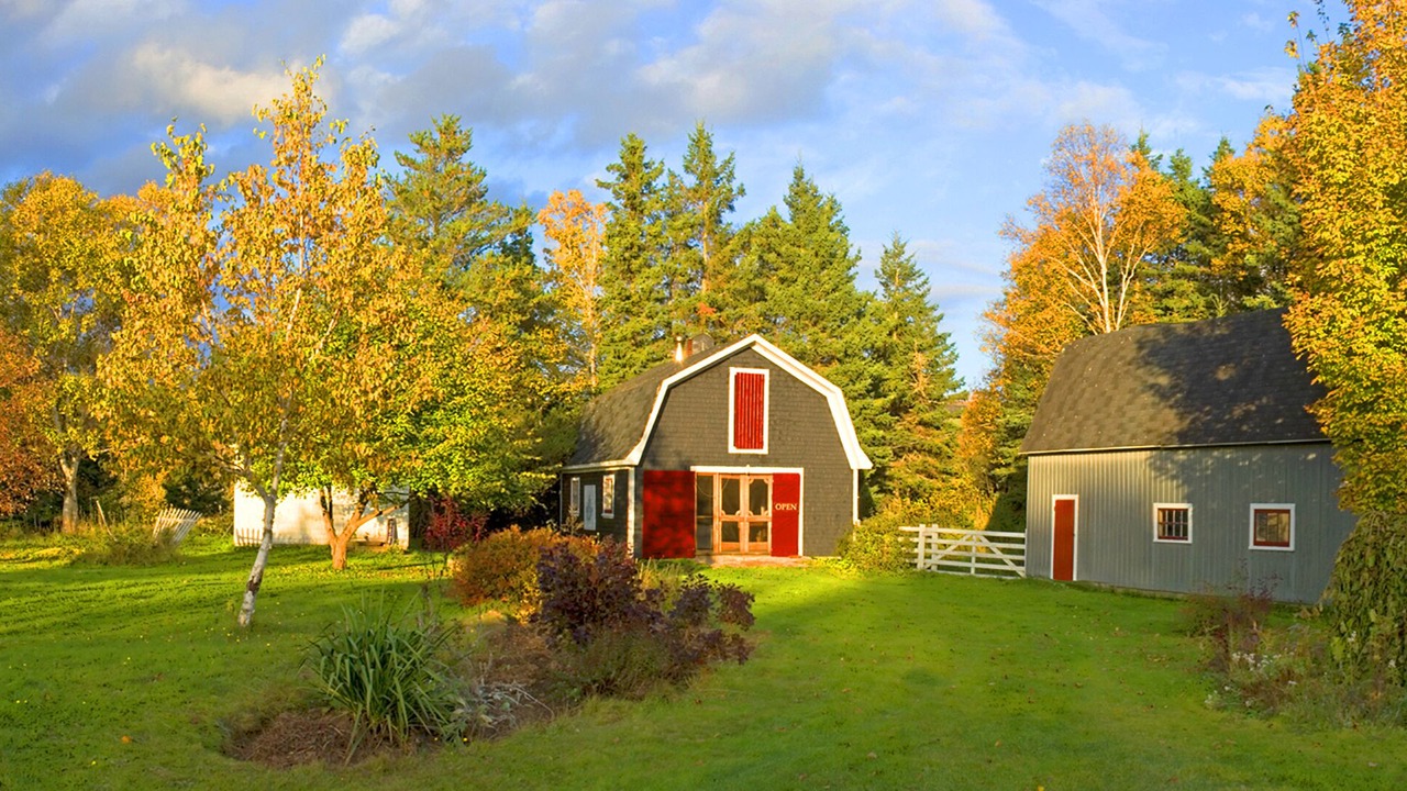Photo of Outdoor in Margaree Valley