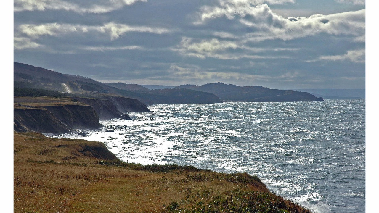 Photo of Others in Margaree Valley