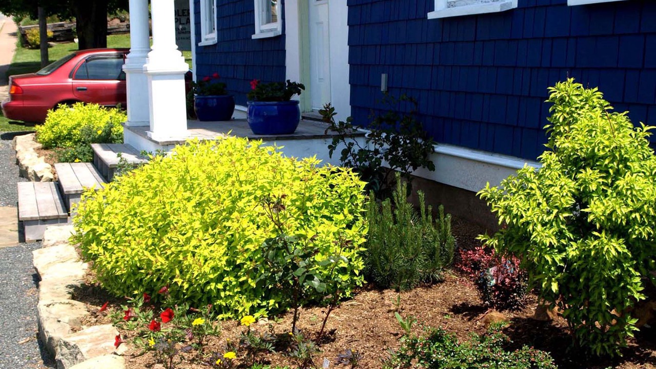 Photo of Outdoor in Pictou