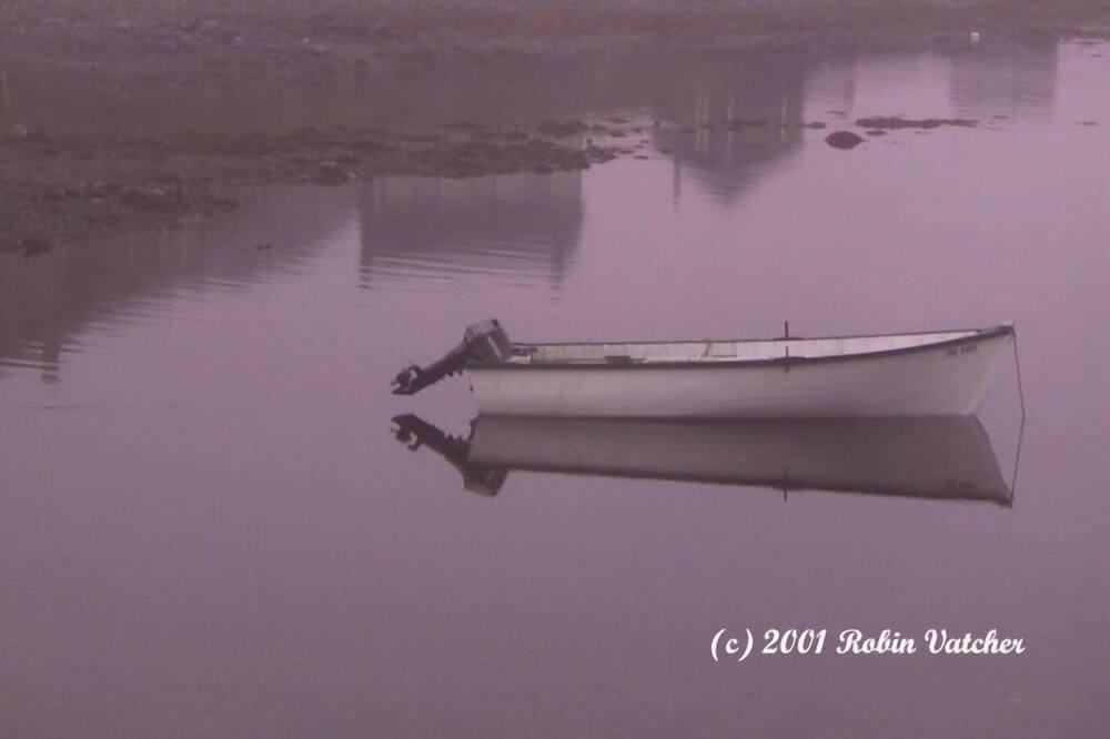 Photo of Others in Twillingate