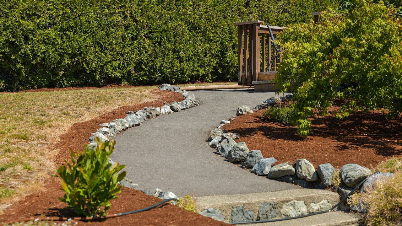 Photo of Outdoor in Lake Cowichan