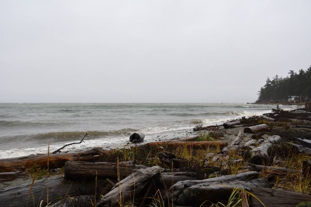 Photo of Others in Comox