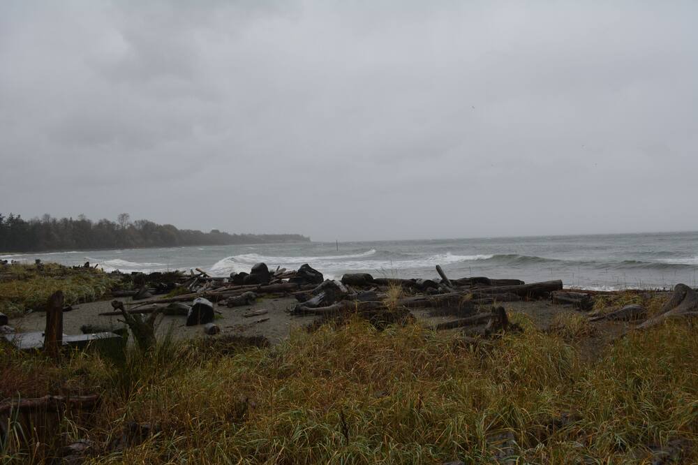 Photo of Others in Comox