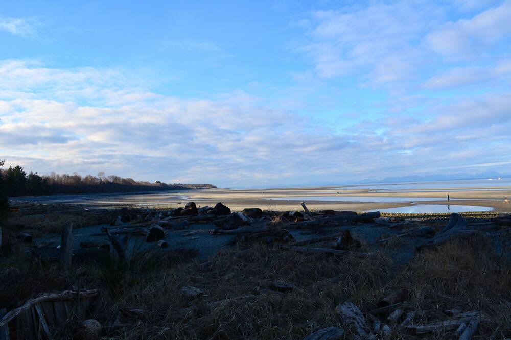 Photo of Others in Comox