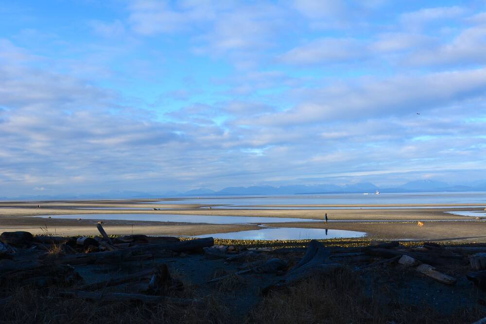 Photo of Others in Comox