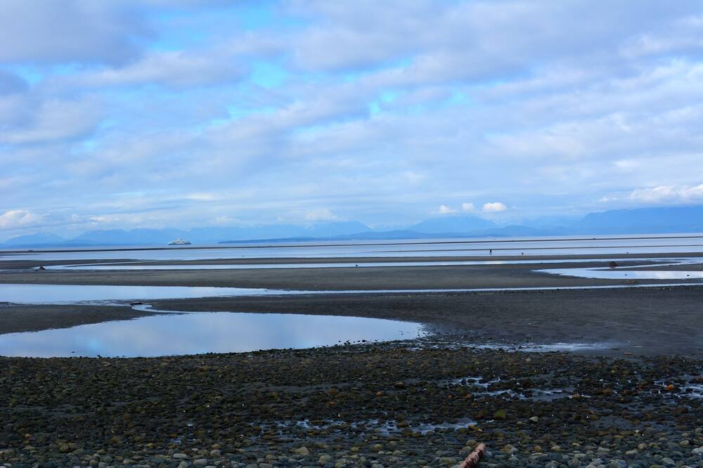 Photo of Others in Comox