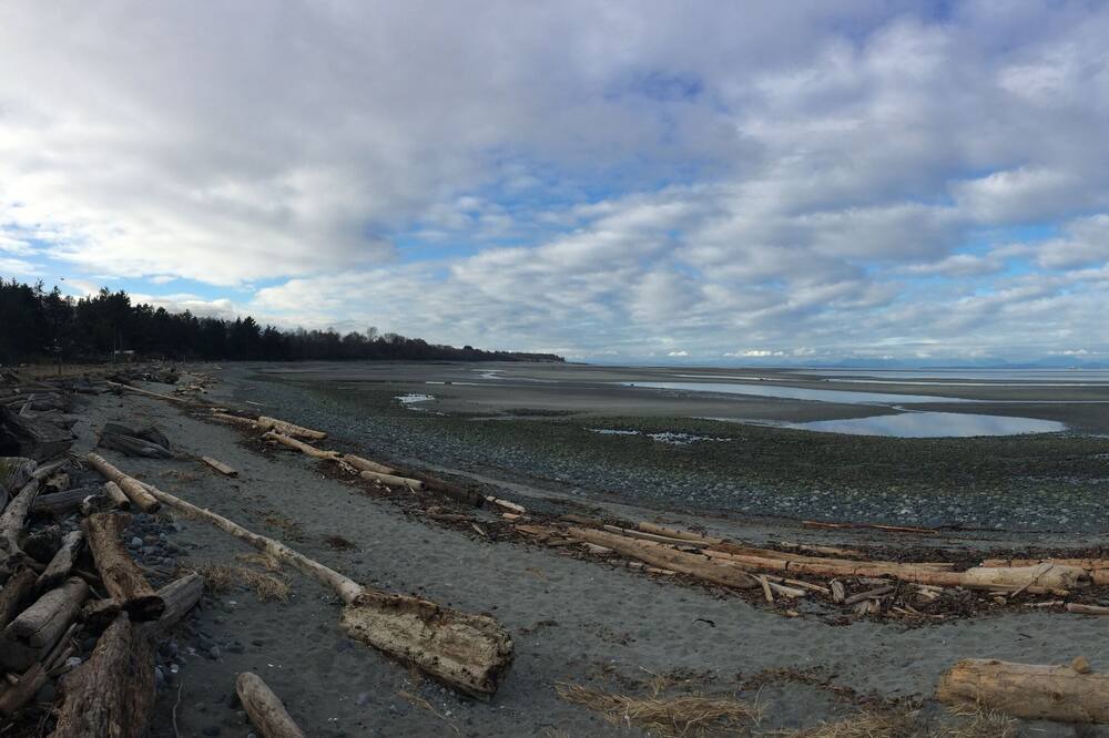 Photo of Others in Comox