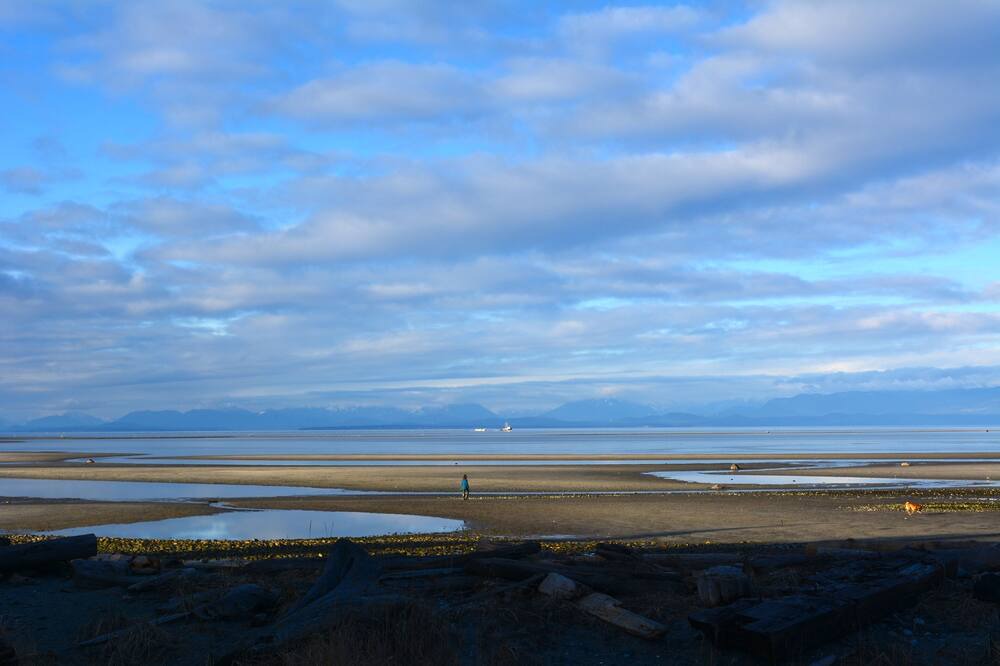 Photo of Others in Comox