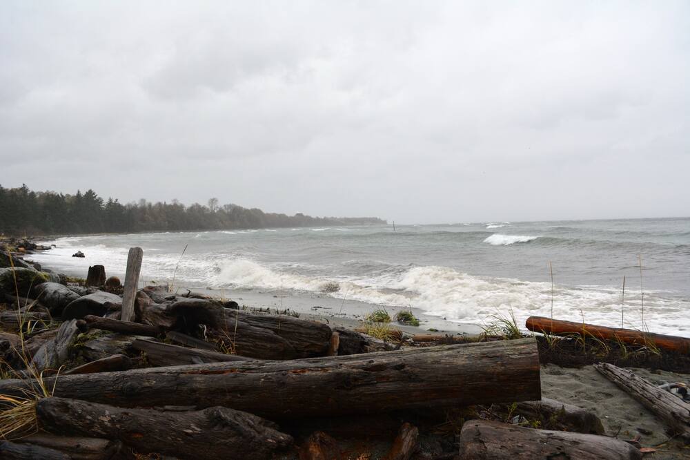 Photo of Others in Comox