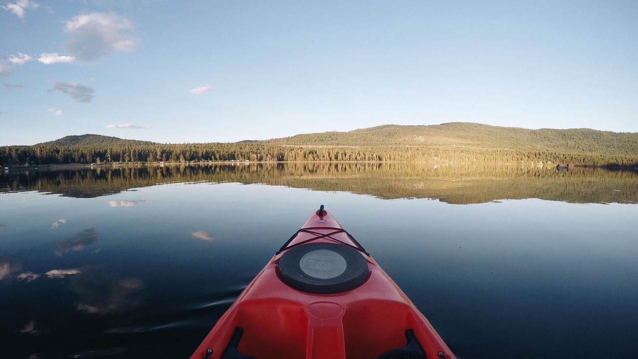 Photo of Others in Douglas Lake