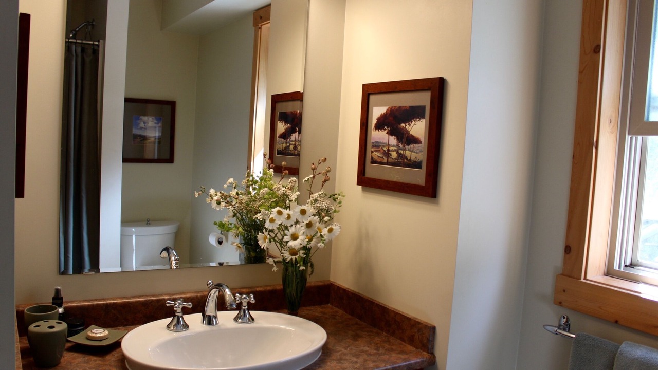 Photo of Bathroom in Douglas Lake