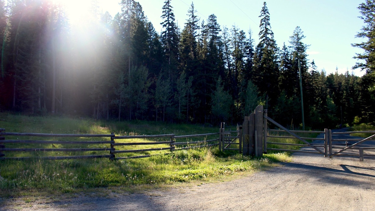 Photo of Outdoor in Douglas Lake