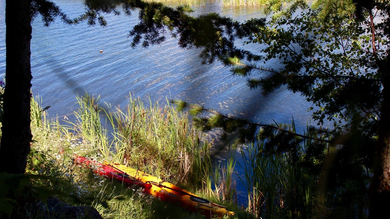 Photo of Outdoor in Douglas Lake