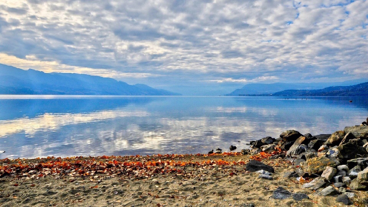 Photo of Others in Central Okanagan