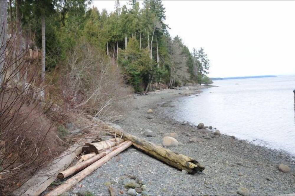 Photo of Others in Chemainus