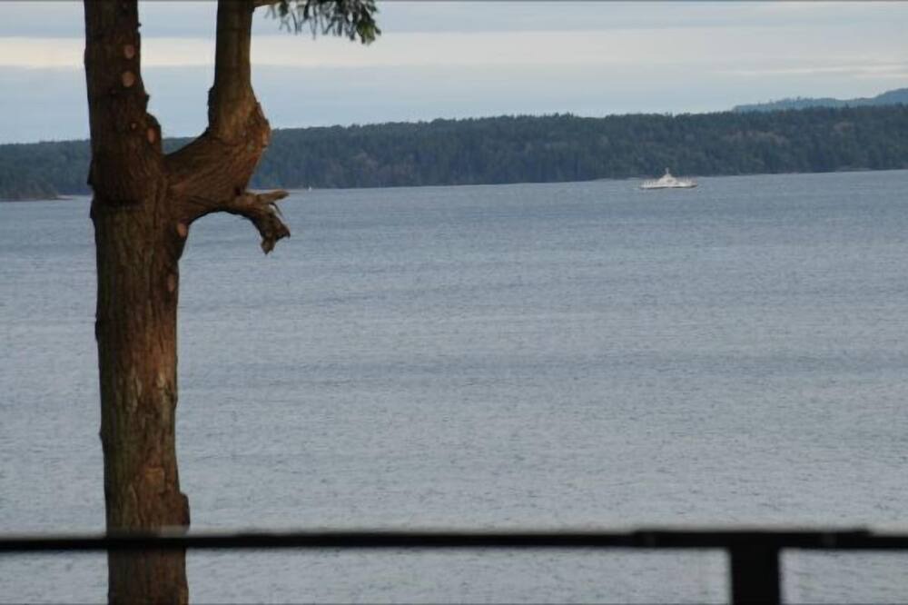 Photo of Others in Chemainus
