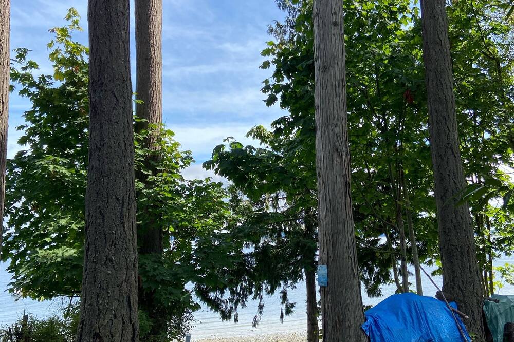 Photo of Outdoor in Chemainus