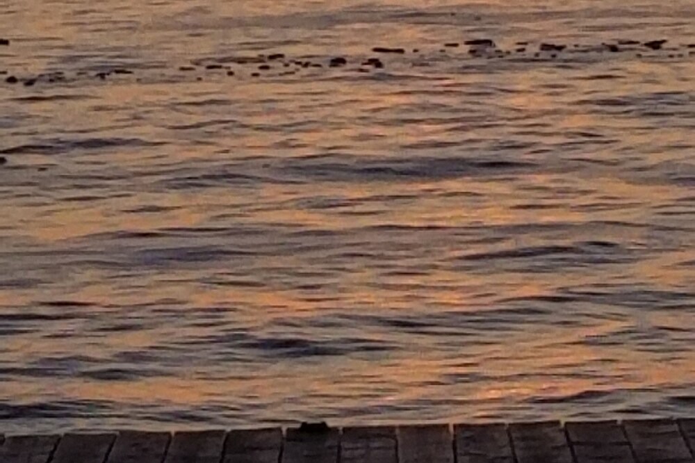 Photo of Others in Pointe aux Roches