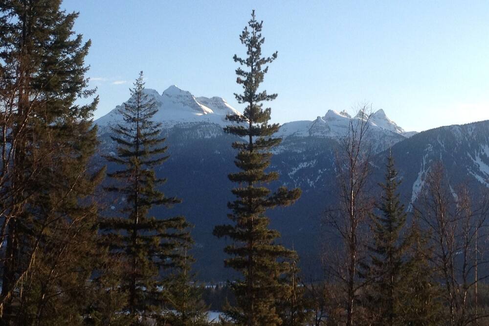 Photo of Others in Revelstoke