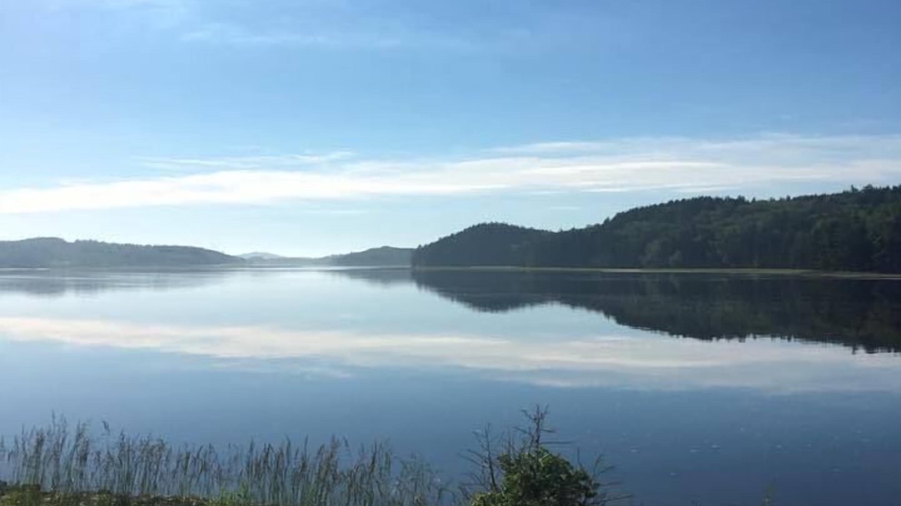 Photo of Others in Machias