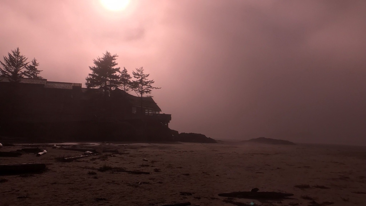Photo of Others in Ucluelet