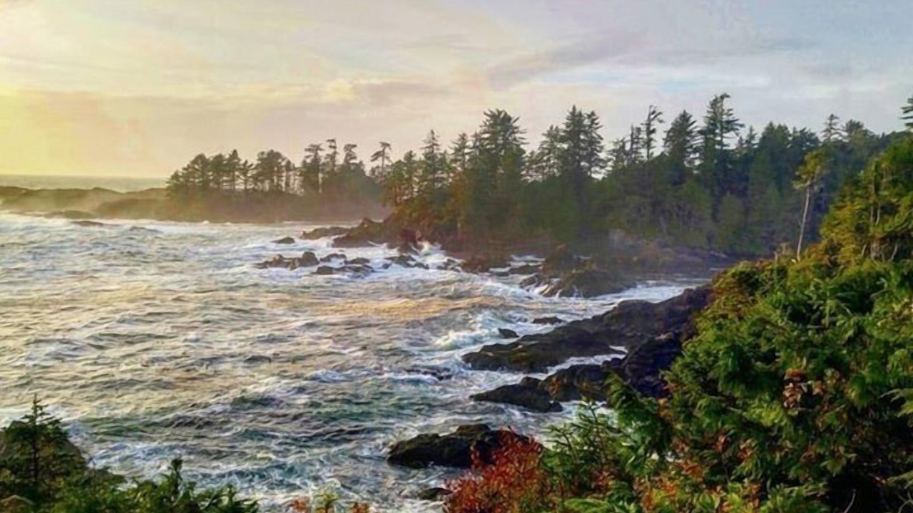 Photo of Others in Ucluelet