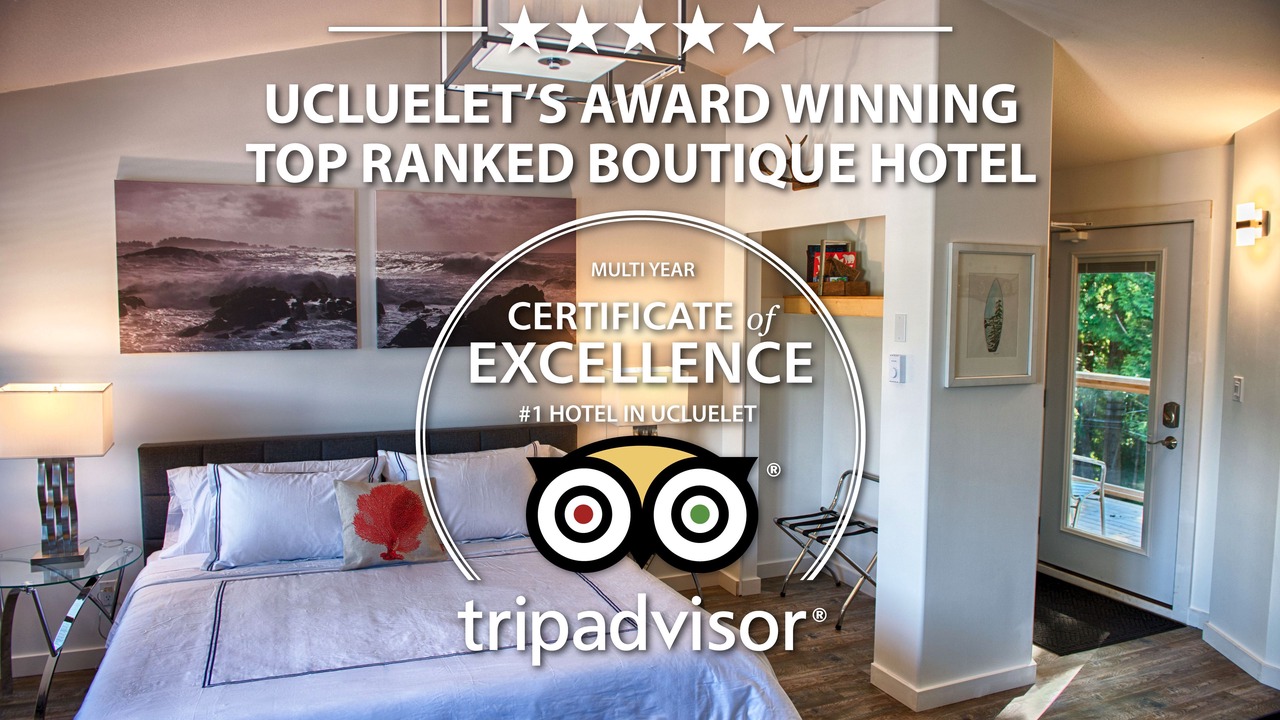 Photo of Bedroom in Ucluelet