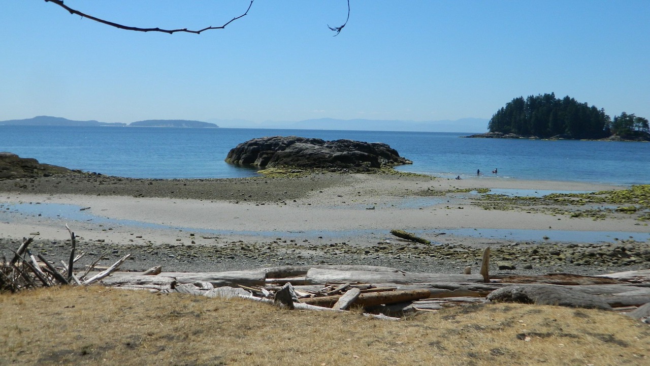 Photo of Others in Madeira Park