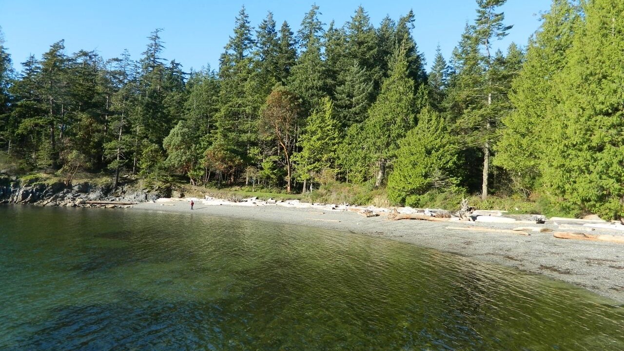 Photo of Others in Madeira Park