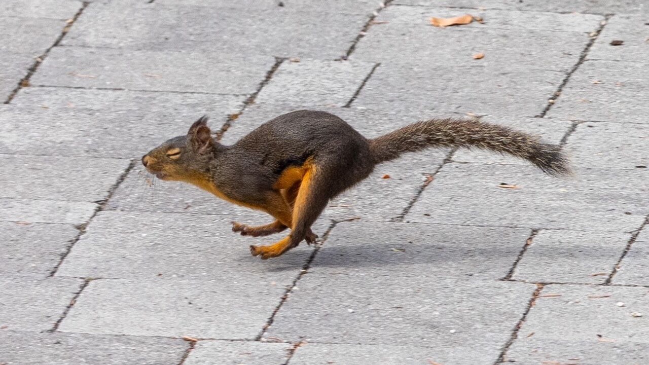 Photo of Others in Madeira Park