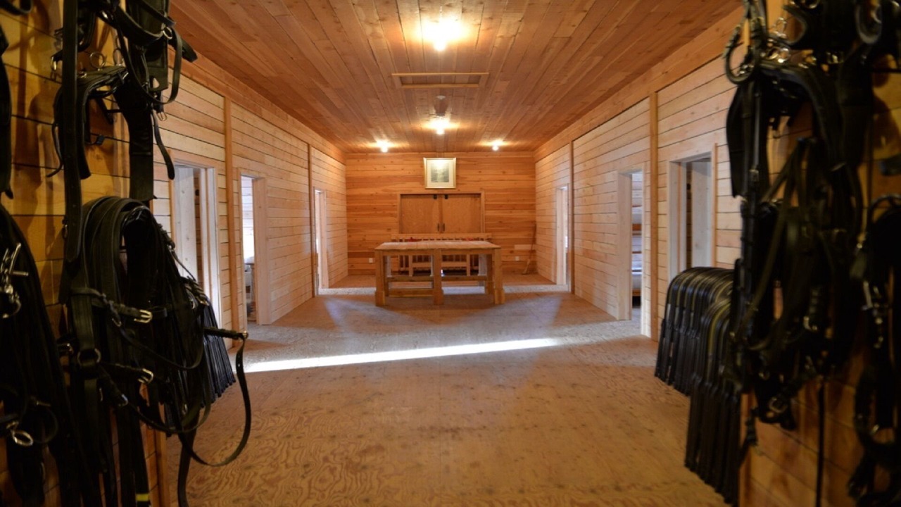Photo of Others in Invermere