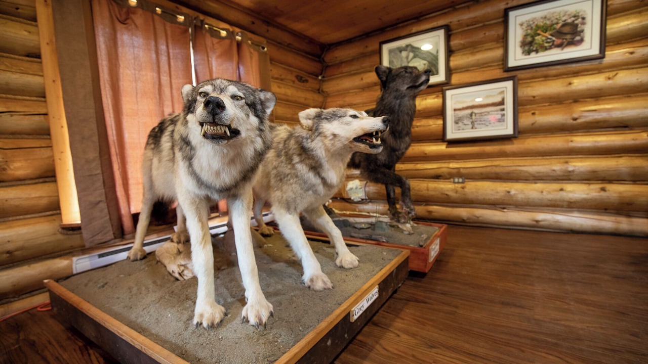 Photo of Others in Regional District of Kitimat-Stikine